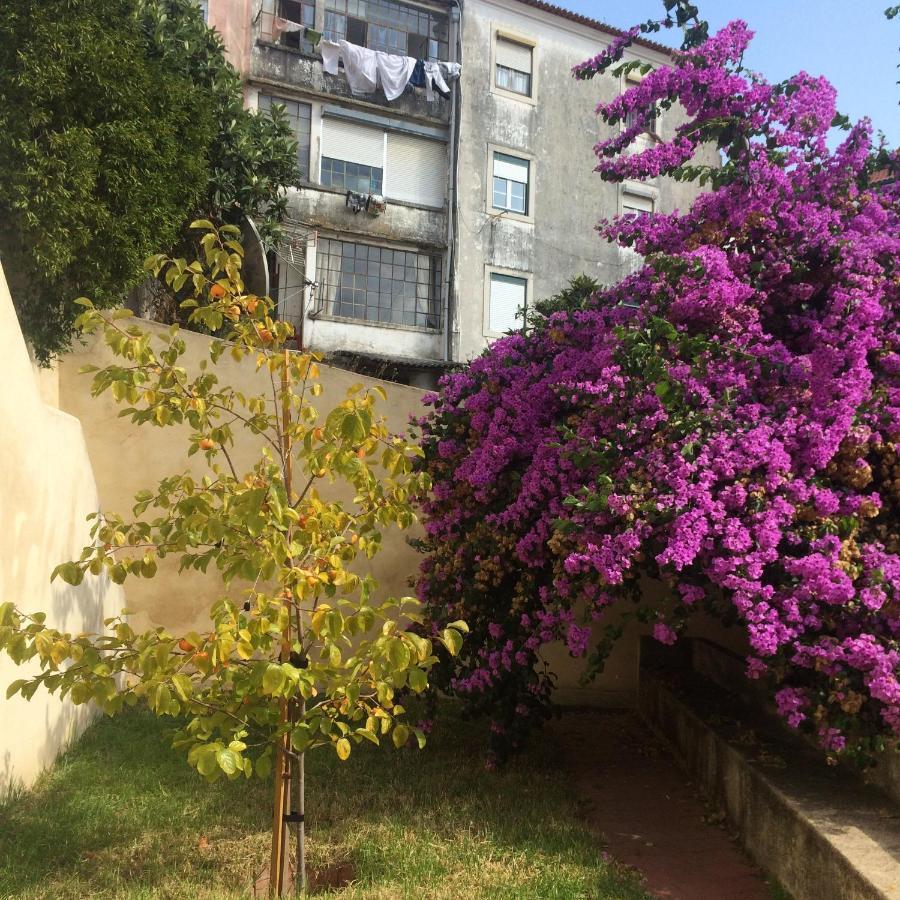 Sobre Ribas 2|12 Apartment Coimbra Exterior photo